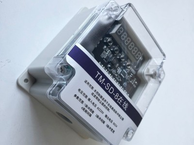 TM-SD-8 脉冲控制仪
