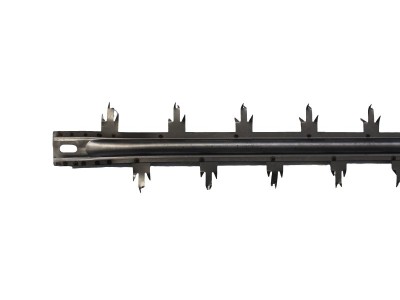 多刺芒刺线 芒刺线