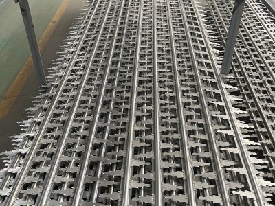 多刺芒刺线 芒刺线