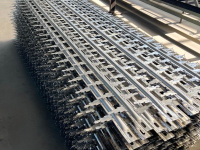 双刺芒刺线 芒刺线